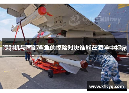 喷射机与南部鲨鱼的惊险对决谁能在海洋中称霸