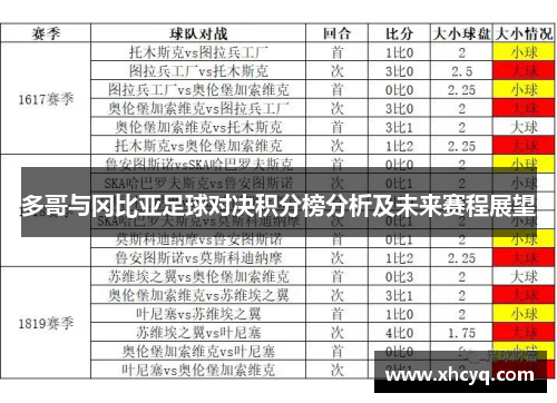 多哥与冈比亚足球对决积分榜分析及未来赛程展望