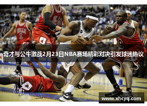 奇才与公牛激战2月23日NBA赛场精彩对决引发球迷热议