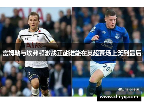 富姆勒与埃弗顿激战正酣谁能在英超赛场上笑到最后