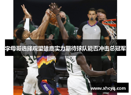 字母哥选择观望雄鹿实力期待球队能否冲击总冠军