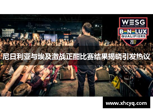 尼日利亚与埃及激战正酣比赛结果揭晓引发热议