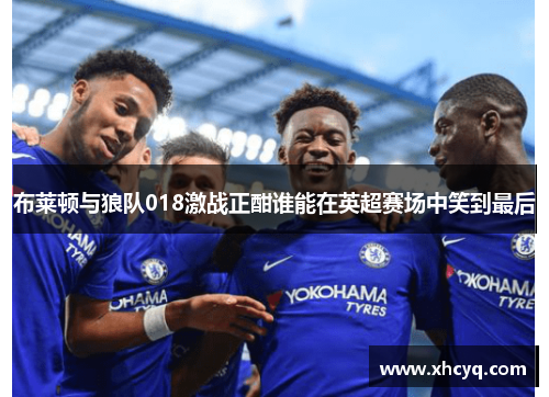 布莱顿与狼队018激战正酣谁能在英超赛场中笑到最后