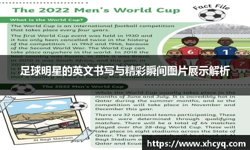 mk体育官方网站